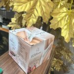 V Extreme Gel For Women 100gm All Natural Vaginal Tightening